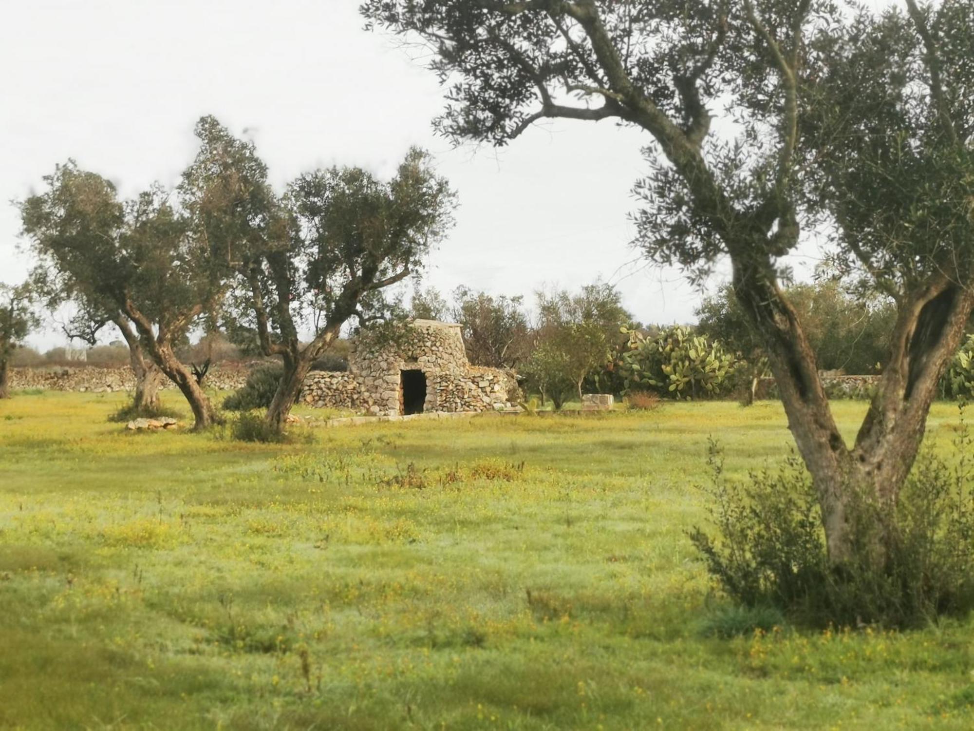 Mios * Muro Leccese
