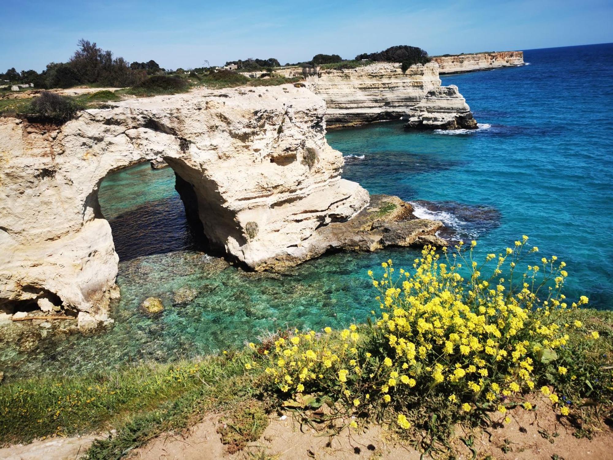 Villa Mios *