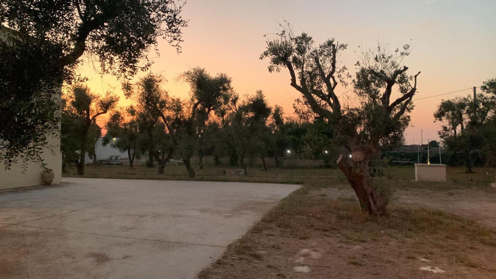 Mios Villa