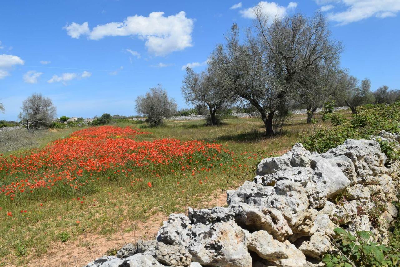 Mios Villa *